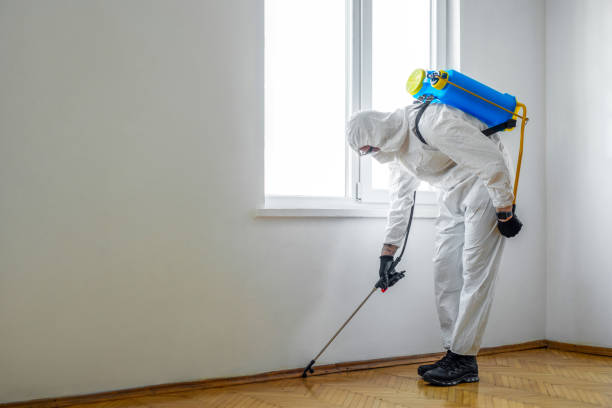 Best Mosquito Control Services  in Bakerstown, PA