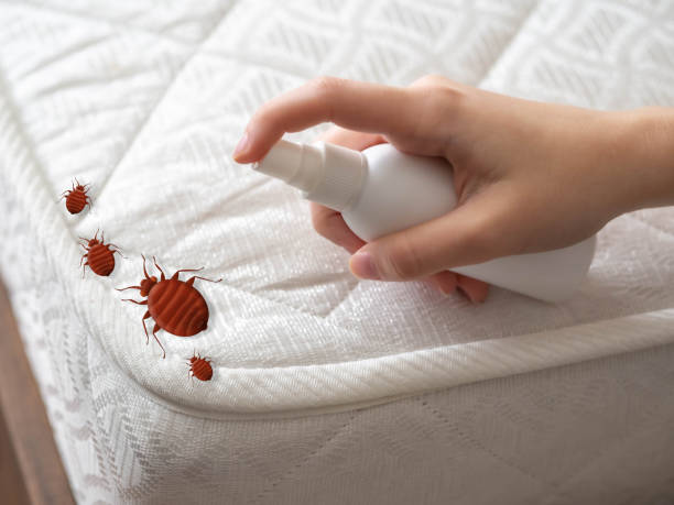 Best Local Pest Control Services  in Bakerstown, PA