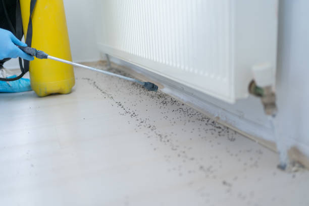 Trusted Bakerstown, PA Pest Control Experts